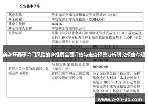 美洲杯赛事冷门风险的多维度全面评估与走势预警分析研究报告专题
